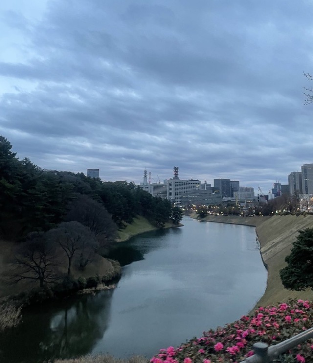 UMI(ｳﾐ) 朝ラン