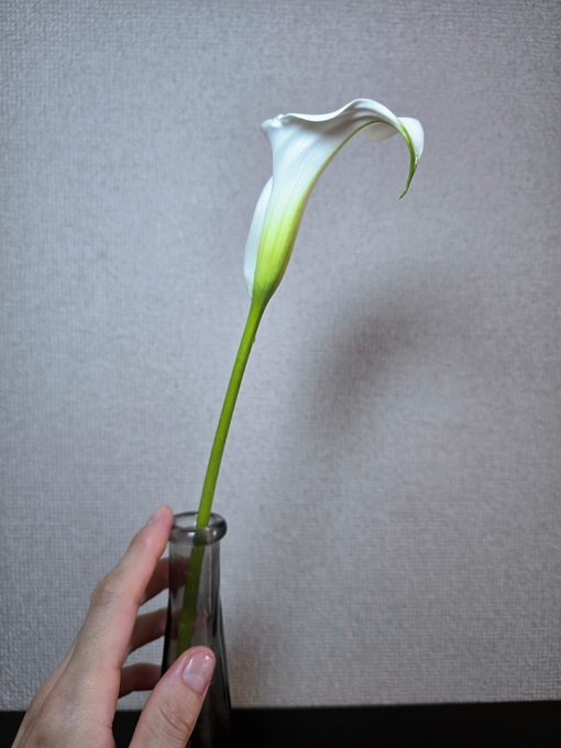 SHINYA(ｼﾝﾔ) 清浄なひととき🩵