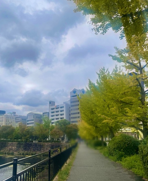 UMI(ｳﾐ) 朝ラン