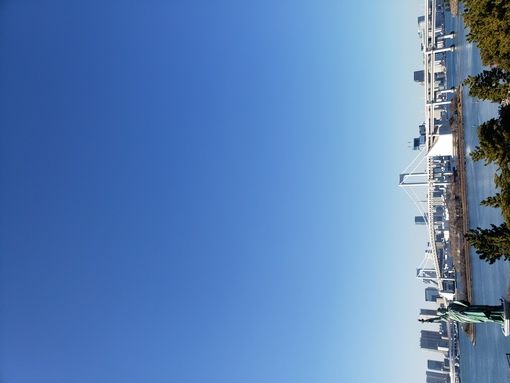 SHINYA(ｼﾝﾔ) 🌿僕の休日の過ごし方