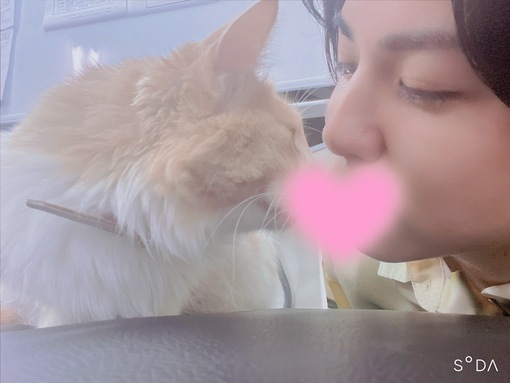 RINTA(ﾘﾝﾀ) 猫かわいぃぃいいい