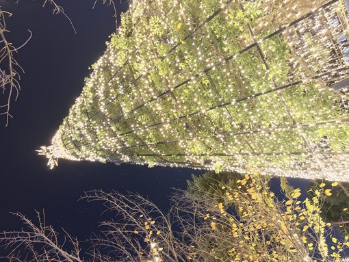 YURI(ﾕｳﾘ) たけのこ