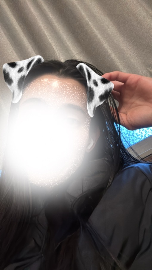 IBUKI(ｲﾌﾞｷ) おはよ🐶