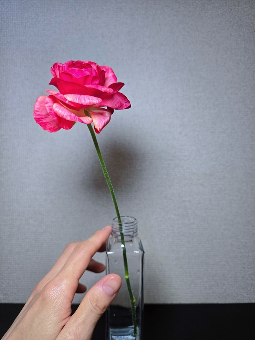 SHINYA(ｼﾝﾔ) あなたの中に咲いているもの🌹𓂃𓈒 𓂂𓏸