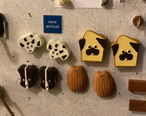 HARU(ﾊﾙ) new arrival🐾