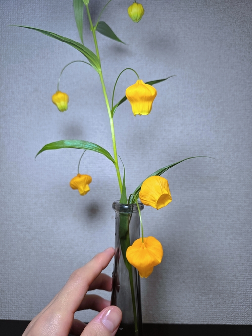 SHINYA(ｼﾝﾔ) 何気ないところも魅力的✨