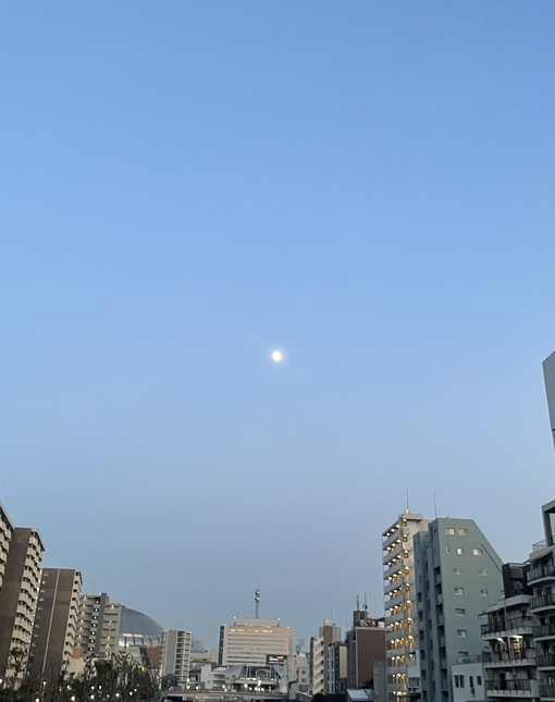 UMI(ｳﾐ) 朝の月