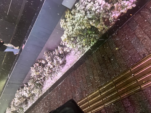 HULK(ﾊﾙｸ) 積雪🧞‍♂️