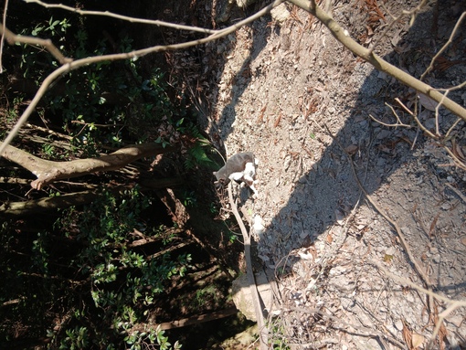 YUMA(ﾕｳﾏ) 皆さんいつもお疲れ様です　癒しの空間提供します