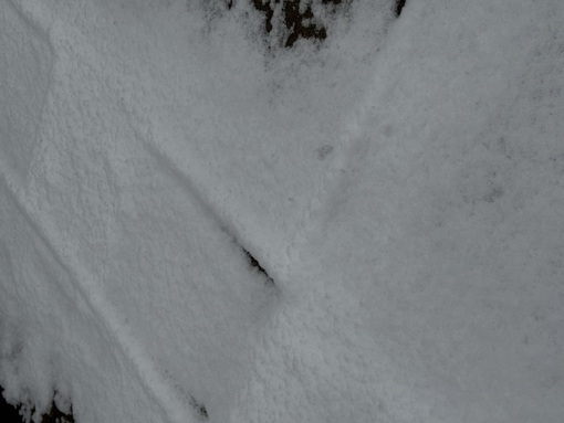 RYOUSUKE(ﾘｮｳｽｹ) ゆきだーーー！！！