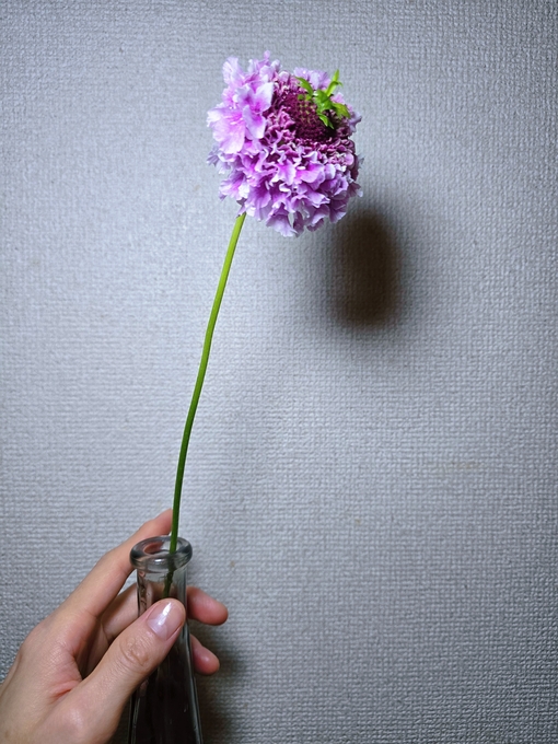 SHINYA(ｼﾝﾔ) 無理してない顔がいちばん綺麗❀