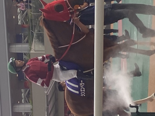 JIN(ｼﾞﾝ) 初競馬🏇