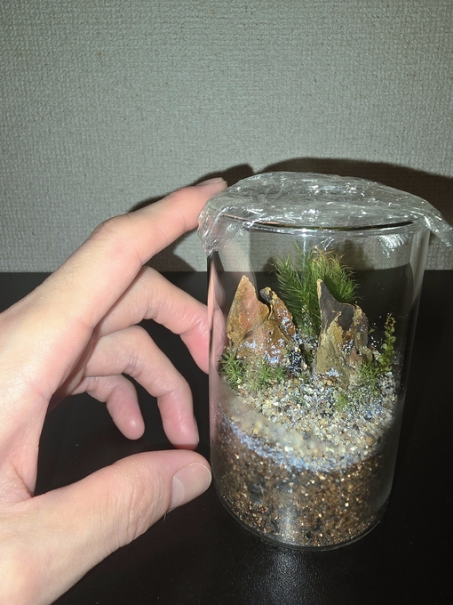 SHINYA(ｼﾝﾔ) ラップ生活はじめました🌱