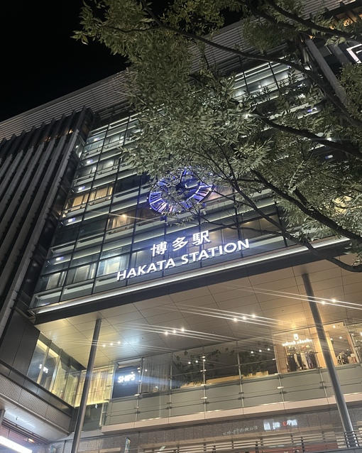 癒しのHARU(ハル) 福岡に帰ってきました