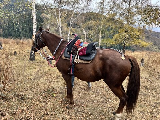 TAKUTO 🐴