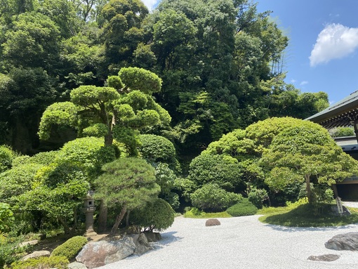 IO(ｲｵ) 半年間を振り返って