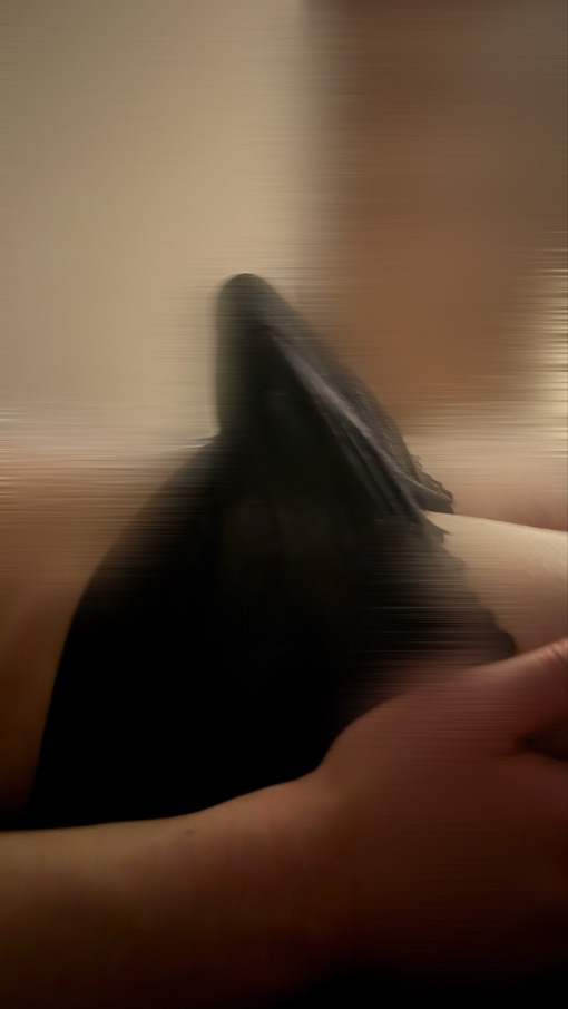 TAKUMI(ﾀｸﾐ) 今日のちんこ🐯🍆