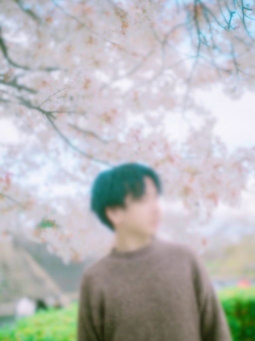 UMI(ｳﾐ) 水曜日