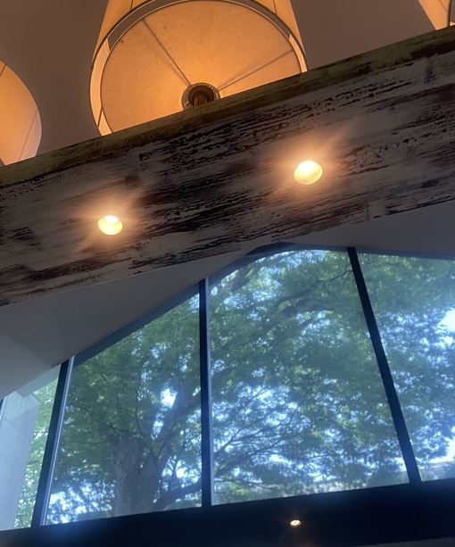 UMI(ｳﾐ) 朝の時間