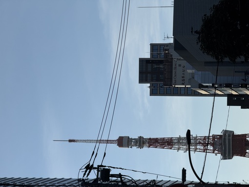 RYOUSUKE(ﾘｮｳｽｹ) 東京タワー🗼